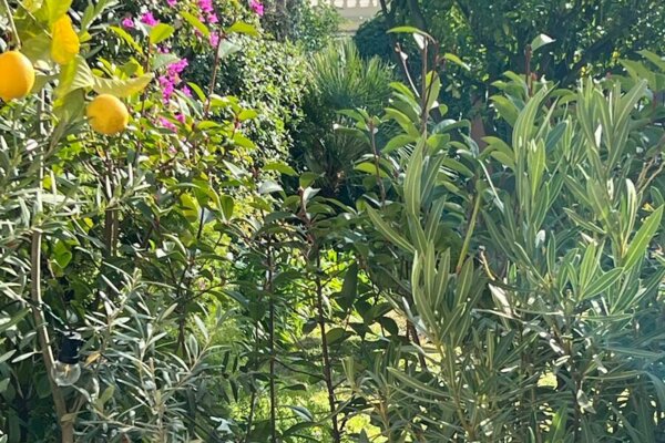 Spacious one bedroom - Beaulieu-Sur-Mer - Sea glimpse