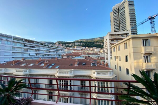 Splendido appartamento ristrutturato e arredato - Le Richmond - Vista città e montagna