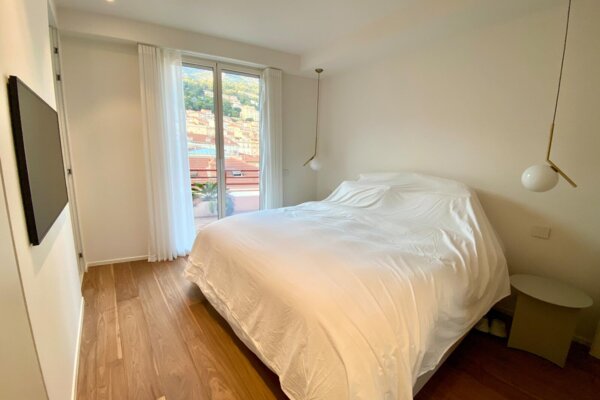 Magnificent renovated and furnished apartment - Le Richmond - City and mountain views