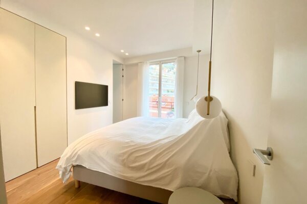 Magnificent renovated and furnished apartment - Le Richmond - City and mountain views