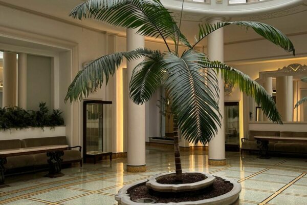 Beautiful 2-bedroom Bourgeois apartment to renovate – Victoria